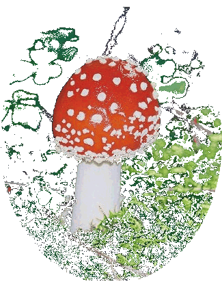 soma