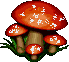 mushroom.gif (39607 bytes)