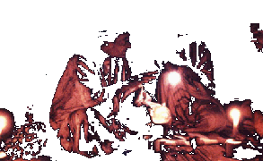 some peruvian shamans