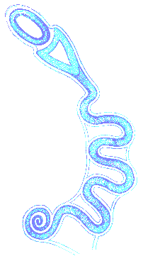 serpent mound